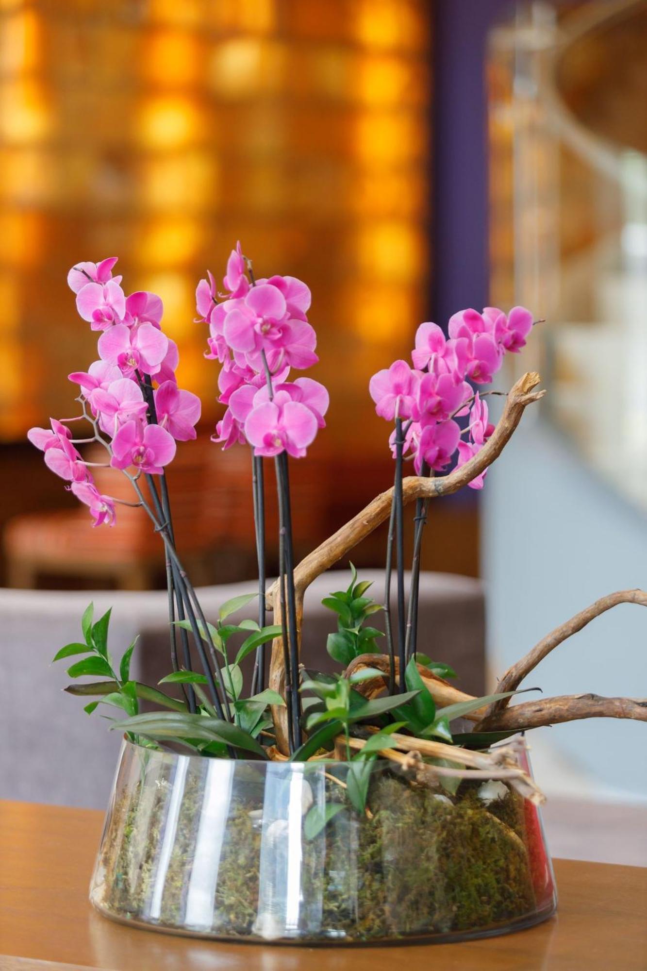 ホテル カミノ リアル ペドリガル メキシコ メキシコシティ エクステリア 写真 Flower arrangement